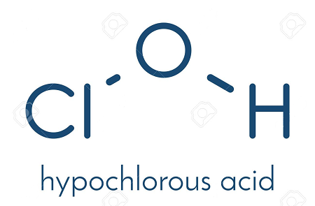 Каковы функции гипохортовой кислоты?
